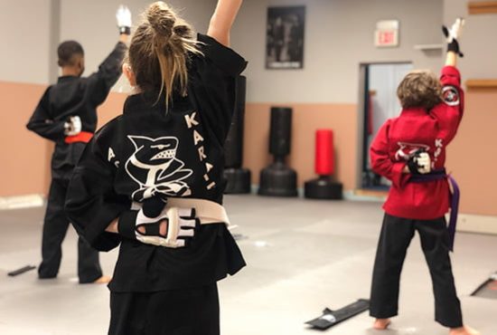 Engaging Karate Lessons