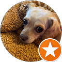 Izzy profile picture