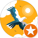 Gina DB profile picture