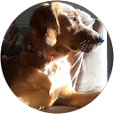 Julie Arnold profile picture