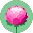 Alexandra Magdelinskas profile picture