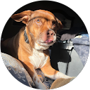 Isabella Frascone profile picture