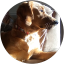 Julie Arnold profile picture