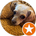 Izzy profile picture