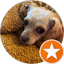 Izzy profile picture