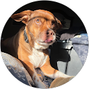 Isabella Frascone profile picture